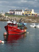 Loulopu Frydrych - On m'appelle le rouge